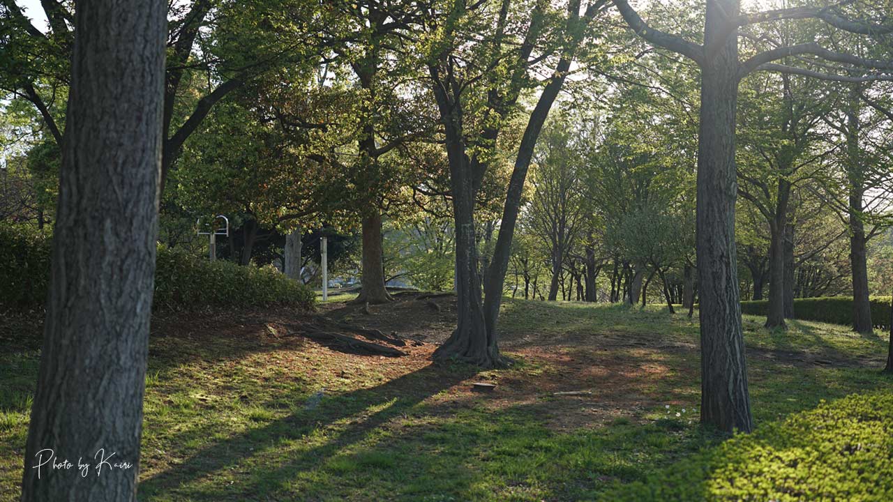 SONY E 16-55mm F2.8 Gの作例