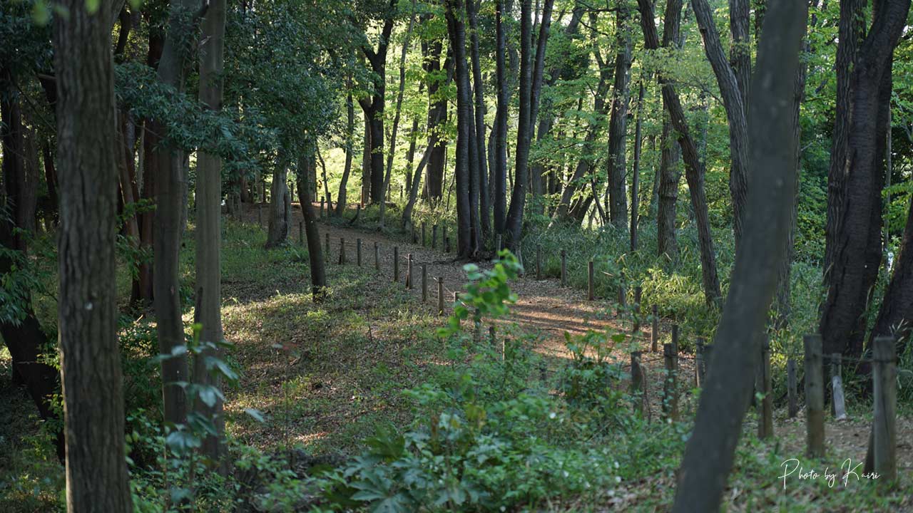 SONY E 16-55mm F2.8 Gの作例