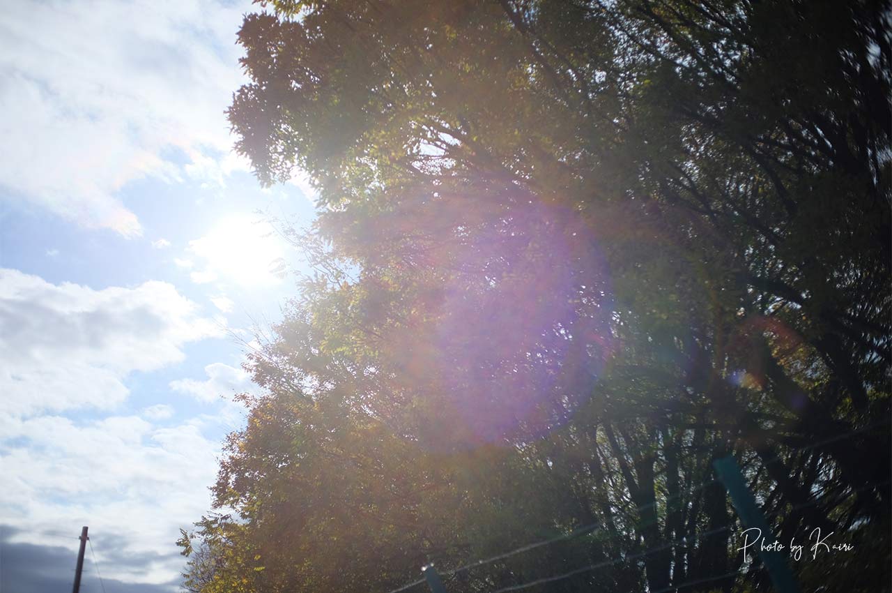 7artisans 25mm F1.8はフレア・ゴーストが結構出る