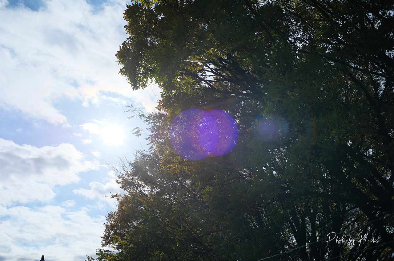 7artisans 25mm F1.8はフレア・ゴーストが結構出る