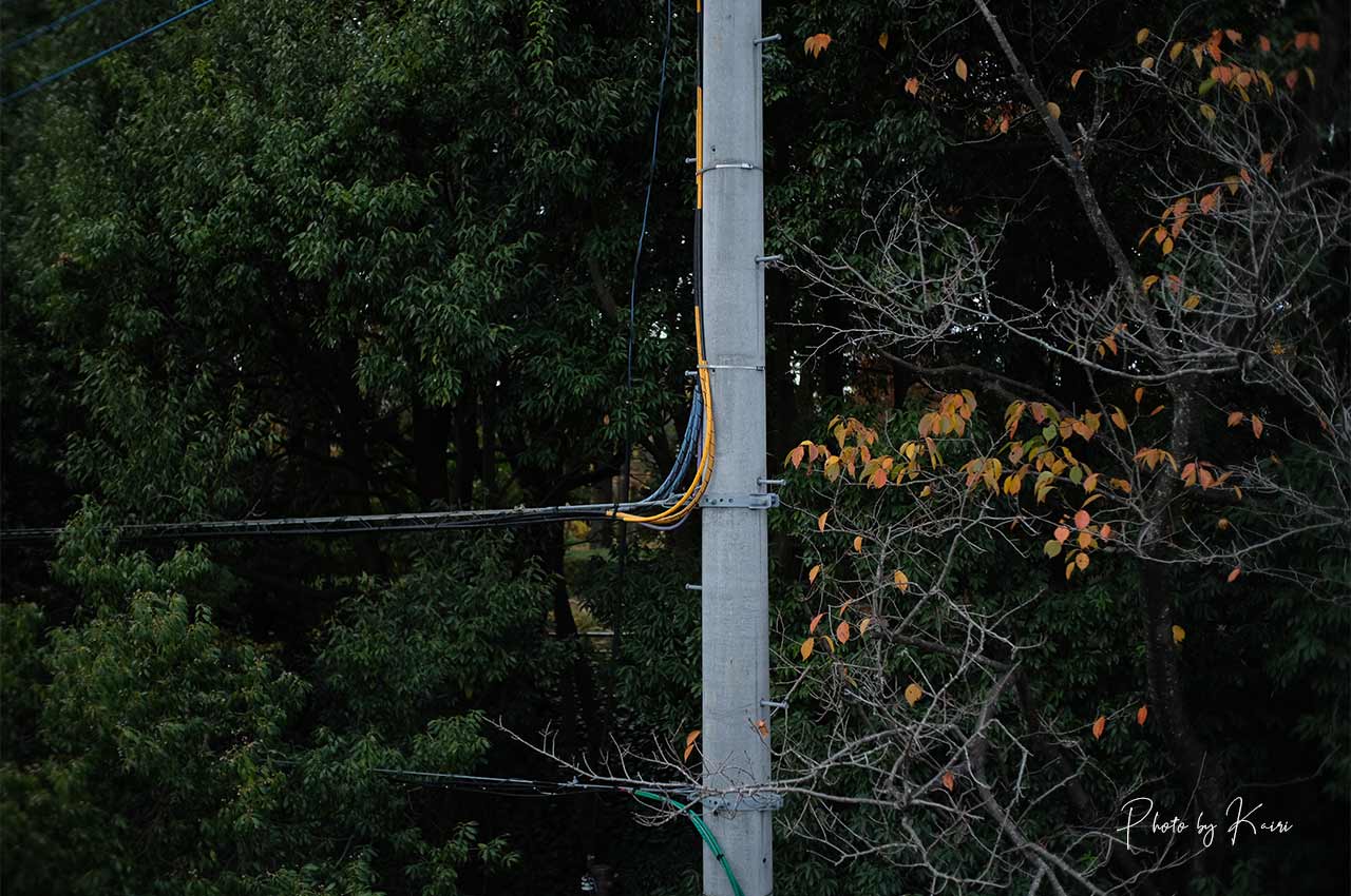 7artisans 25mm F1.8の作例