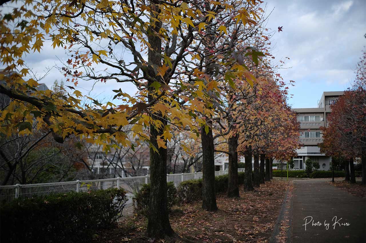 7artisans 25mm F1.8は周辺減光が結構ある