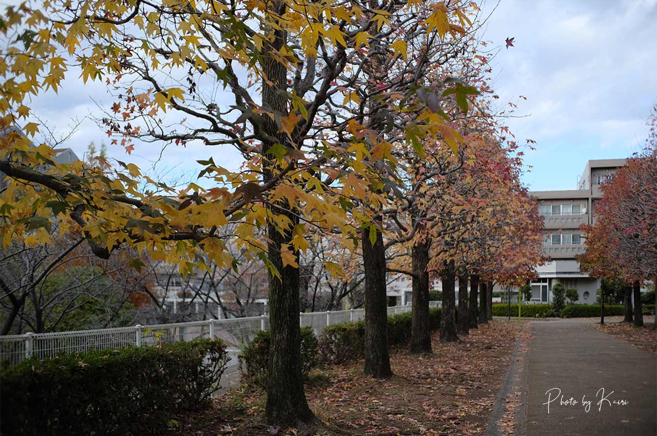 7artisans 25mm F1.8は周辺減光が結構ある