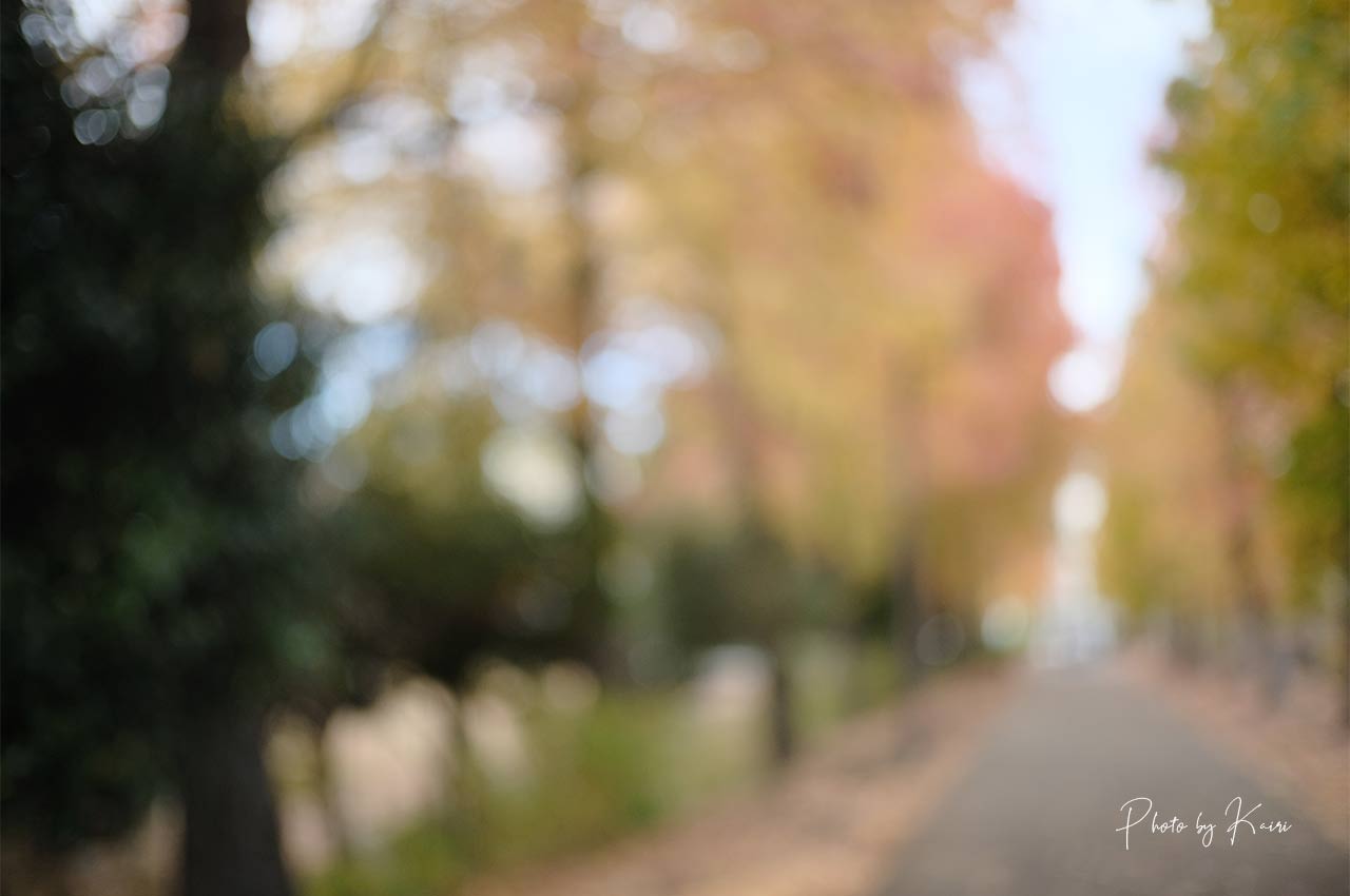 7artisans 25mm F1.8の玉ボケの様子