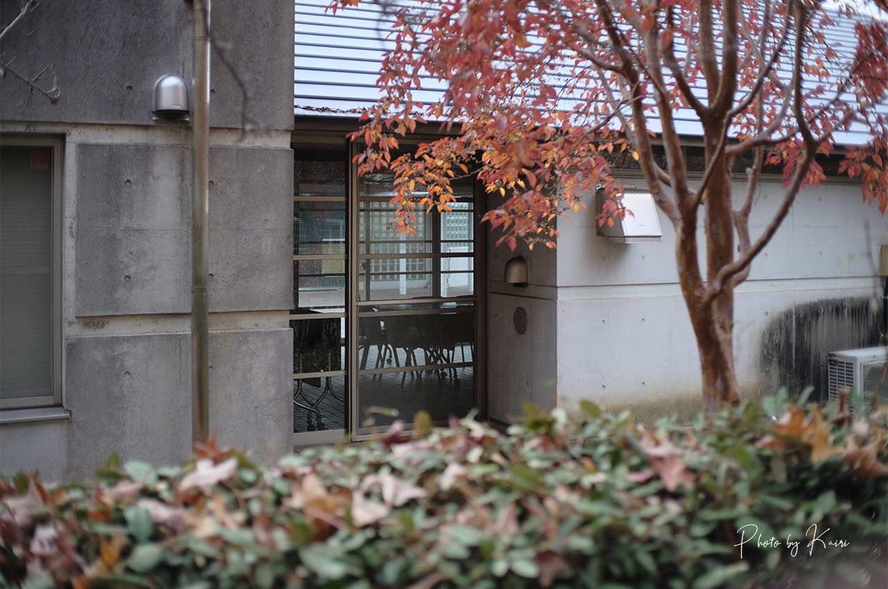 7artisans 25mm F1.8の作例